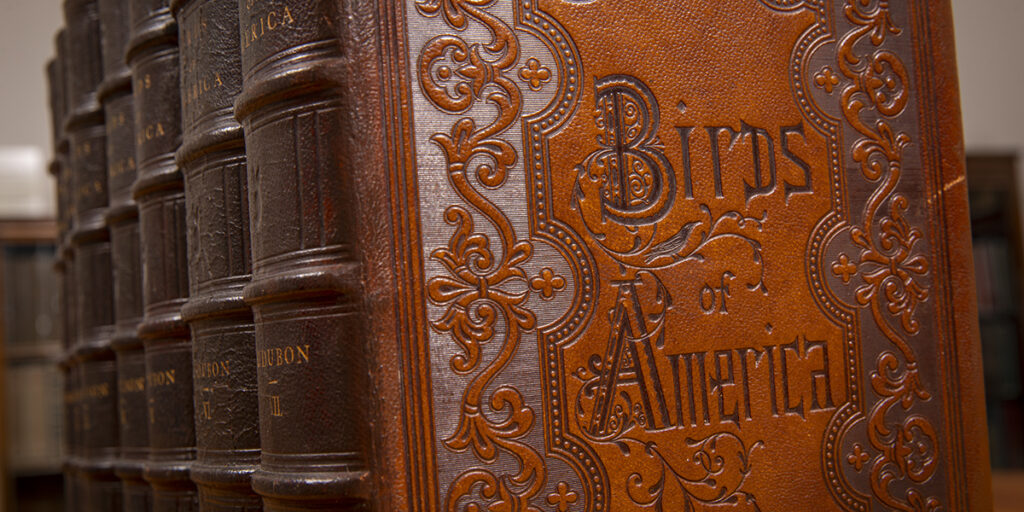 Image of leather bound copy of James Audubon’s Birds of America