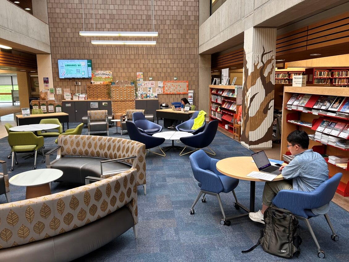 Photo of the Sustainability Hub located in the Science Library featuring a student sitting at a table working on a laptop.