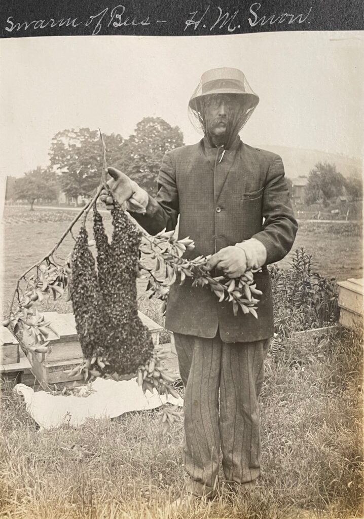 Beekeeper photograph from Port Crane photo album