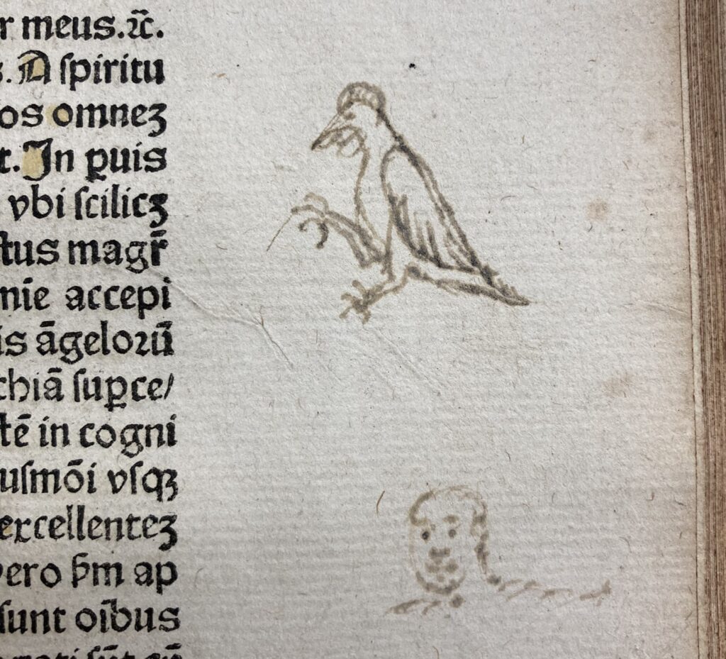 Marginal doodle of bird and man's head