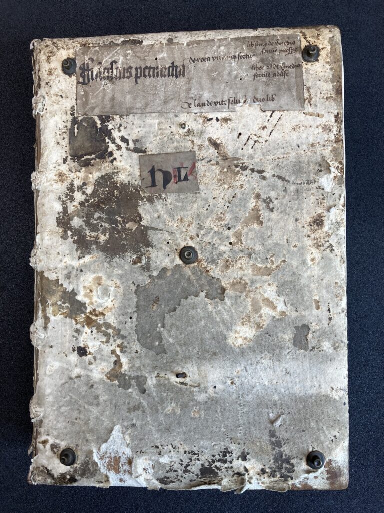Petrarch manuscript front cover