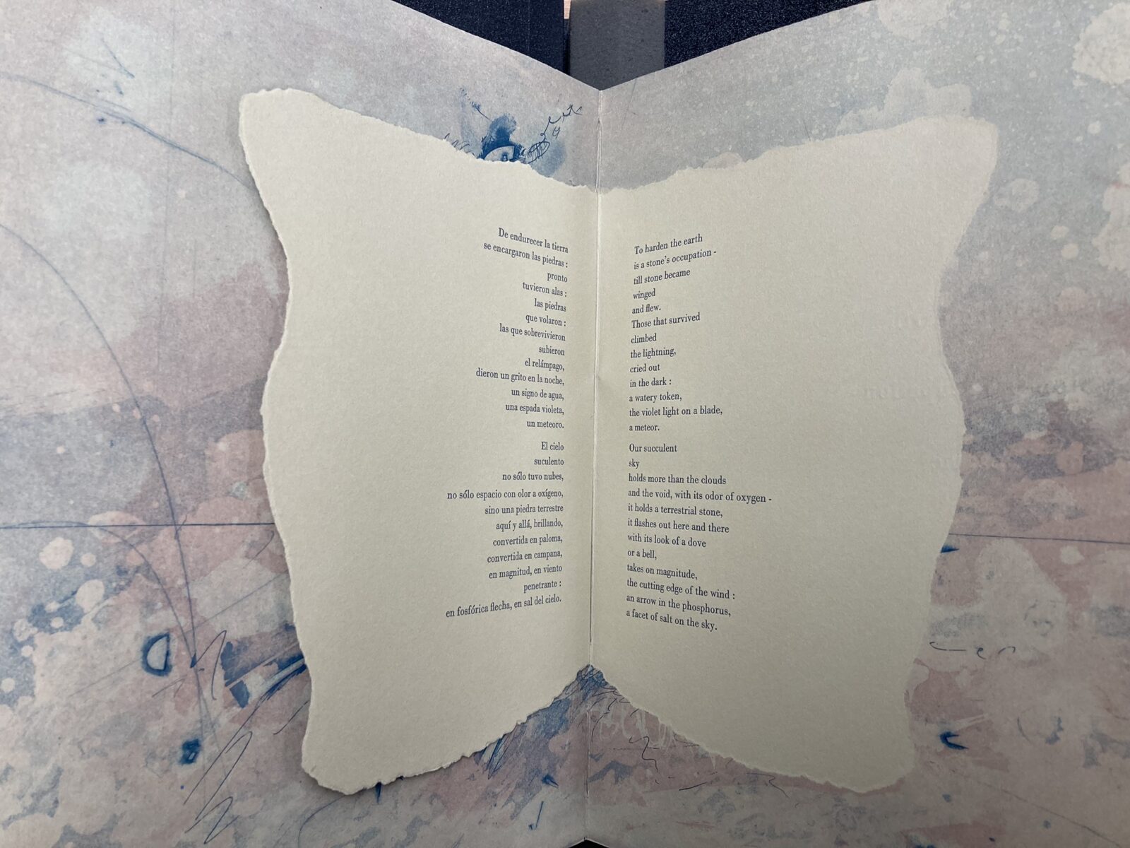 Inaugural Student Book Arts Competition: Spring 2023 – Special Collections  News