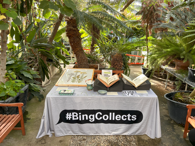 Table in greenhouse with #BingCollects grey covering exhibiting books and artwork. From October 2023 pop-up exhibition.