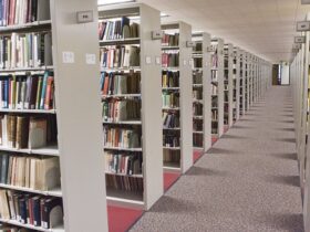 Bartle Library stacks
