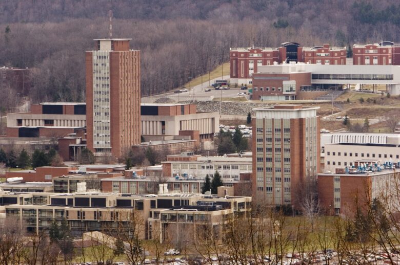 A wide landscape photo of Binghamton University with Bartle Library