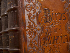 Image of leather bound copy of James Audubon’s Birds of America