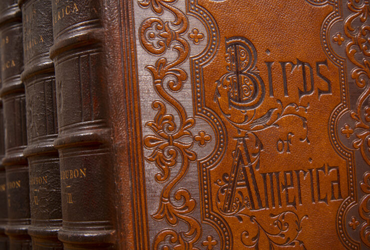 Image of leather bound copy of James Audubon’s Birds of America