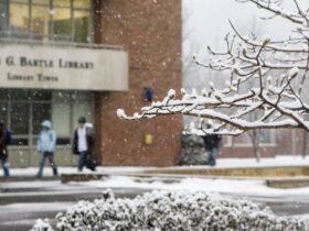 A photo of the Bartle Library Tower with snowy branches in the foreground