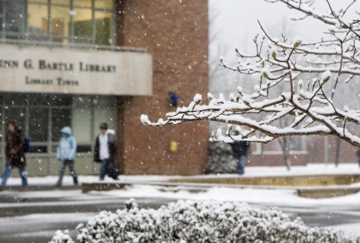 A photo of the Bartle Library Tower with snowy branches in the foreground