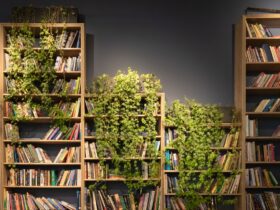 four full bookcases are arranged side by side; three of the bookcases are covered with green leaves from plants that are growing down from the top of the cases