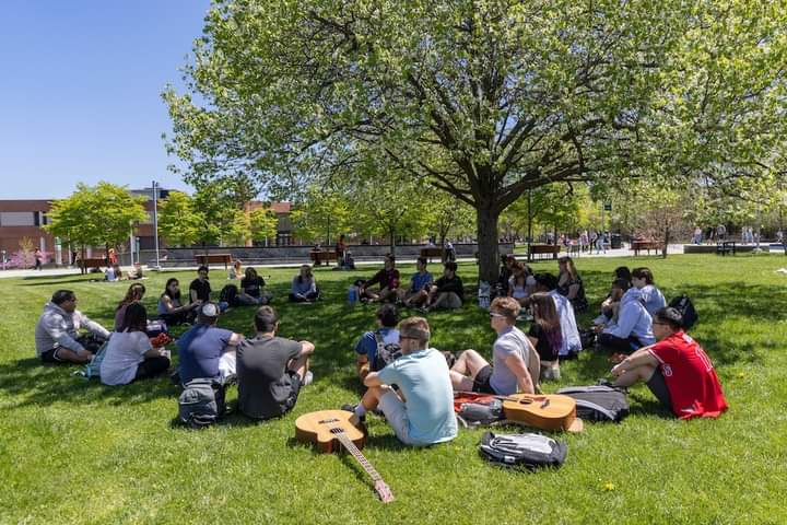 College students sitting outside under the shade of a tree