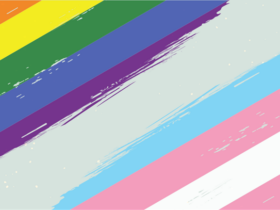 Rainbow and trans pride flag swatches on a light green background