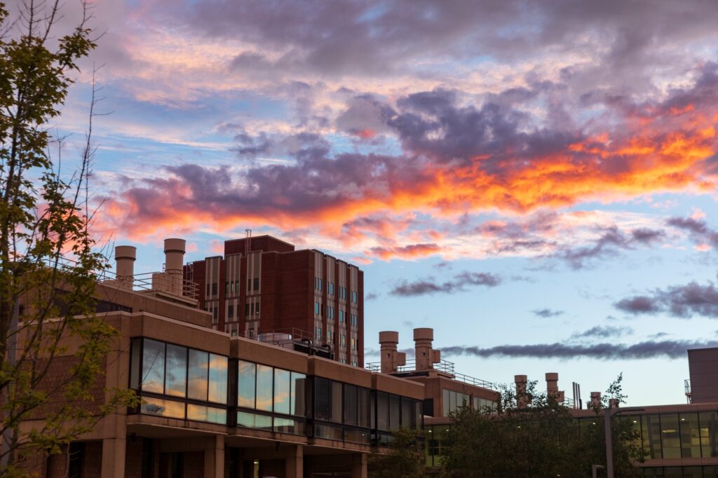 exterior photograph of the Science Library in front of a sunset