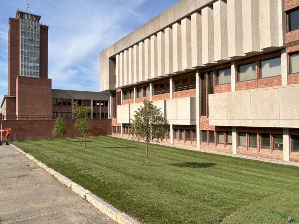 Photo of the exterior of Bartle Library featuring newly planted grass.