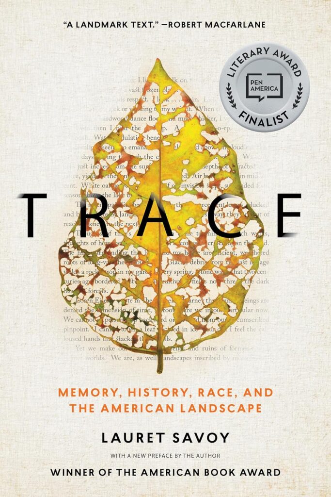 cover for the book Trace : memory, history, race, and the American landscape by Lauret Savoy