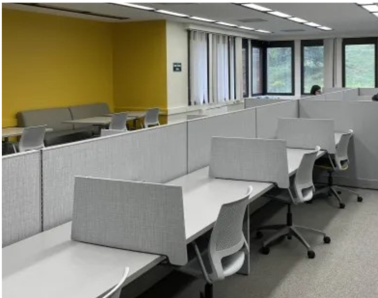 photo of the Graduate Study Lounge featuring individual study carrels with office chairs.