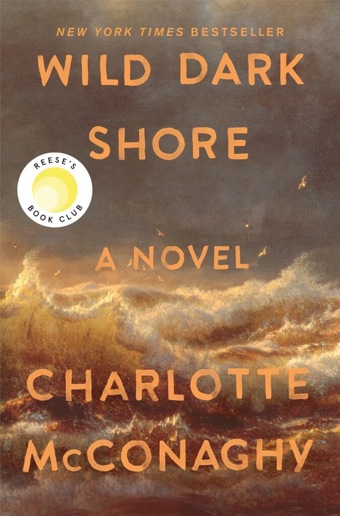 cover for the book Wild Dark Shore by Charlotte McConaghy